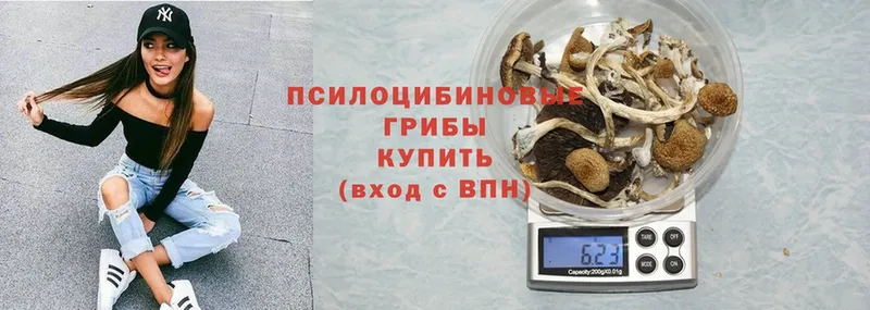 что такое   Октябрьский  shop формула  Псилоцибиновые грибы Cubensis  hydra как зайти 